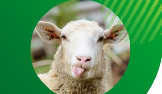 Powszechny spis rolny 2020