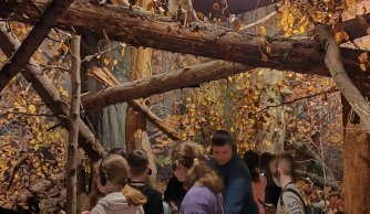 "W krainie mszarów i szuwarów" 