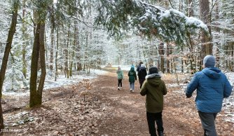 "W krainie mszarów i szuwarów" 