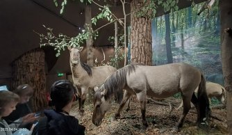 "W krainie mszarów i szuwarów" 