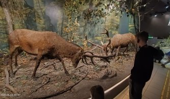 "W krainie mszarów i szuwarów" 