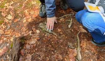 "W krainie mszarów i szuwarów" 