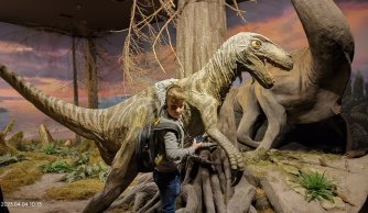 "W krainie mszarów i szuwarów" 