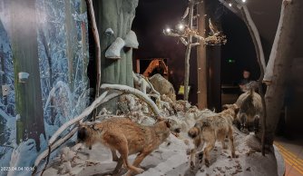 "W krainie mszarów i szuwarów" 