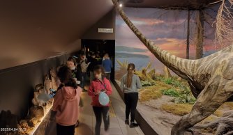 "W krainie mszarów i szuwarów" 