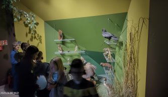 "W krainie mszarów i szuwarów" 