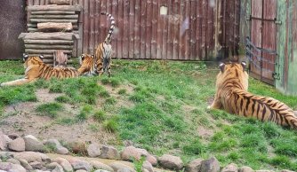 Wycieczka klas 0-III do Zamościa