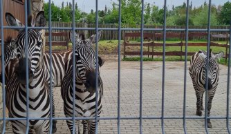 Wycieczka klas 0-III do Zamościa