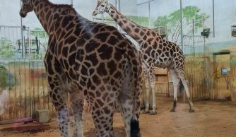 Wycieczka klas 0-III do Zamościa