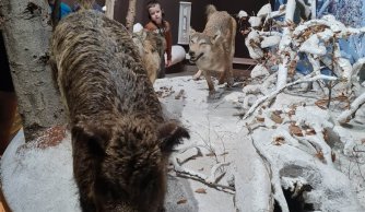 Zajęcia terenowe w Roztoczańskim Parku Narodowym