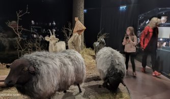 Wycieczka w Góry Świętokrzyskie 16 czerwca 2023