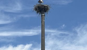 "Kiedy śmieje się dziecko, śmieje się cały świat"