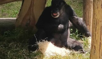 Relacja z wycieczki klas IV-VII Góry Stołowe-Praga-Wrocław