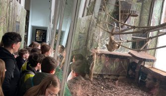 Warsztaty edukacyjne w zamojskim zoo