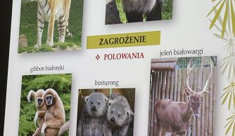 Warsztaty edukacyjne w zamojskim zoo