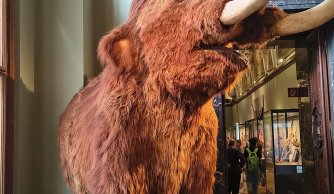 Od Habsburgów po krasowe jaskinie - wycieczka do Austrii i Czech