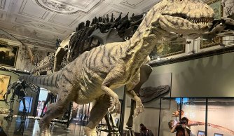 Od Habsburgów po krasowe jaskinie - wycieczka do Austrii i Czech