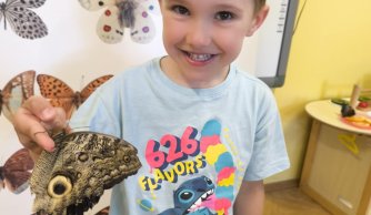 Motylarnia – warsztaty edukacyjne