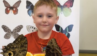 Motylarnia – warsztaty edukacyjne