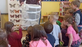Motylarnia – warsztaty edukacyjne