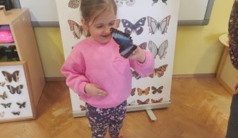 Motylarnia – warsztaty edukacyjne