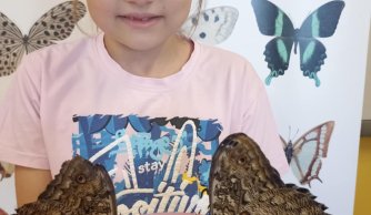 Motylarnia – warsztaty edukacyjne
