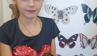 Motylarnia – warsztaty edukacyjne