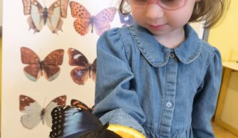 Motylarnia – warsztaty edukacyjne