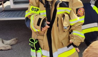 Strażacy z wizytą w szkole