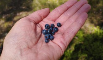 Rowerem przez historię i przyrodę