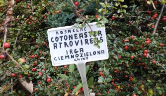 Wycieczka, wycieczka...