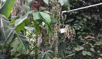 Wycieczka, wycieczka...