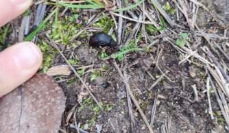 Jesienny spacer klasy trzeciej 