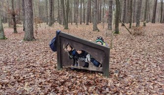 Wyjazd uczniów do Nadleśnictwa Janów