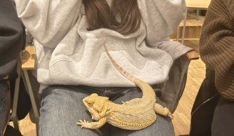 Wyjazd edukacyjno-kulturalny do Janowa Lubelskiego