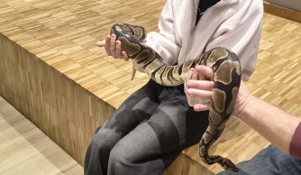 Wyjazd edukacyjno-kulturalny do Janowa Lubelskiego