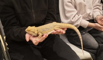 Wyjazd edukacyjno-kulturalny do Janowa Lubelskiego