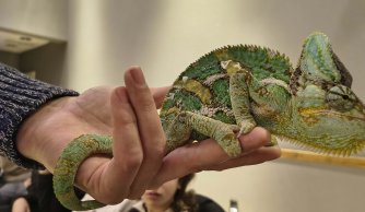 Wyjazd edukacyjno-kulturalny do Janowa Lubelskiego